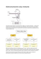 Širdies susitraukimai ir virškinimo fiziologija 5 puslapis
