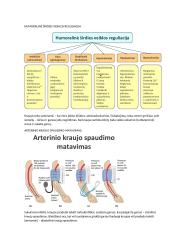 Širdies susitraukimai ir virškinimo fiziologija 10 puslapis