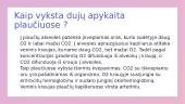 ﻿Dujų apykaita plaučiuose ir audiniuose 3 puslapis