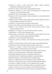 Ikimokyklinio amžiaus vaikų kalbos sutrikimas 20 puslapis