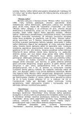 Investicijos į Lietuvos verslus 11 puslapis