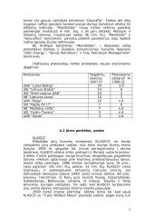 Investicijos į Lietuvos verslus 12 puslapis