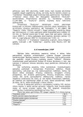 Investicijos į Lietuvos verslus 17 puslapis