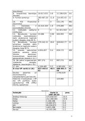 Investicijos į Lietuvos verslus 19 puslapis