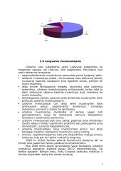 Investicijos į Lietuvos verslus 8 puslapis