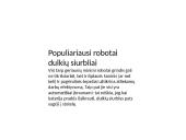 Buities technikos nauda ir žala 13 puslapis