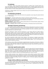 IP Telefonija 3 puslapis