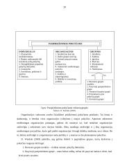 UAB "Compensa Life Distribution" pokyčių valdymo tobulinimas 19 puslapis
