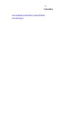 Įpurškimo sistema 11 puslapis