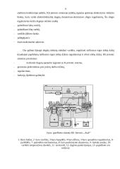 Įpurškimo sistema 6 puslapis