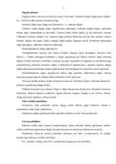 Įpurškimo sistema 7 puslapis