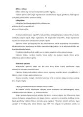 Įpurškimo sistema 8 puslapis