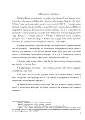 Žiemos karo esmė, priežastys ir reikšmė 5 puslapis