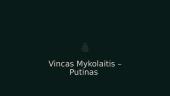 Vinco Mykolaičio - Putino eilėraščio „Margi sakalai" analizė 2 puslapis