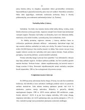 Jaunimo svaiginimasis 6 puslapis