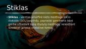 Viskas apie stiklą 2 puslapis