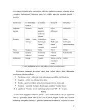 Kaimo turizmo paslaugos 7 puslapis