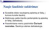 Failai ir aplankai 11 puslapis