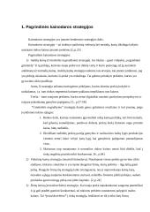 Kainų nustatymas ir strategija 2 puslapis