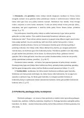 Kainų nustatymas ir strategija 11 puslapis