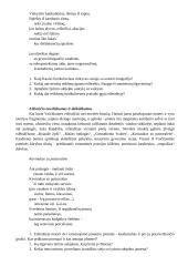 Judita Vaičiūnaitė 1937-2001 2 puslapis