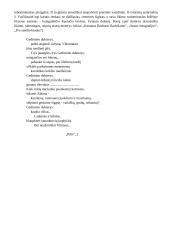 Judita Vaičiūnaitė 1937-2001 4 puslapis