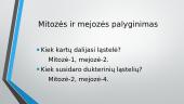 Mitozė ir mejozė 8 puslapis