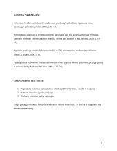 Mokslo ir technologijų pažanga plėtojant įvairius paslaugų sektorius 4 puslapis