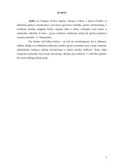 Leksika, žodžių daryba, klaidų taisyklės 3 puslapis