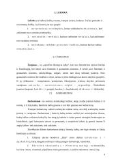 Leksika, žodžių daryba, klaidų taisyklės 4 puslapis