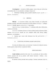 Leksika, žodžių daryba, klaidų taisyklės 5 puslapis