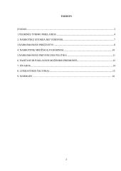 Narkomanijos prevencijos teisinio reglamentavimo situacija Lietuvoje 2 puslapis