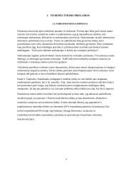 Narkomanijos prevencijos teisinio reglamentavimo situacija Lietuvoje 4 puslapis