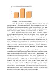 LR vyriausybės vykdomos vakcinavimo skatinimo komunikacijos atvejis 6 puslapis