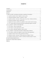 AB „Achema“ logistikos sistemos kūrimas Airijoje  2 puslapis