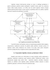 AB „Achema“ logistikos sistemos kūrimas Airijoje  11 puslapis