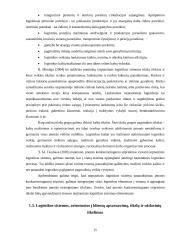 AB „Achema“ logistikos sistemos kūrimas Airijoje  15 puslapis