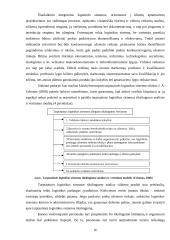 AB „Achema“ logistikos sistemos kūrimas Airijoje  16 puslapis