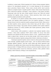 AB „Achema“ logistikos sistemos kūrimas Airijoje  17 puslapis