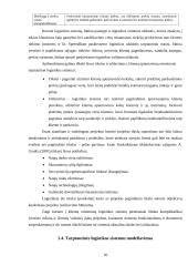 AB „Achema“ logistikos sistemos kūrimas Airijoje  18 puslapis