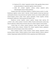 AB „Achema“ logistikos sistemos kūrimas Airijoje  6 puslapis