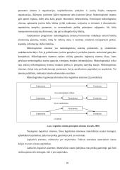 AB „Achema“ logistikos sistemos kūrimas Airijoje  10 puslapis