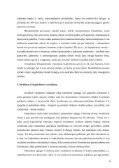 Kapitalizmas, socializmas ir demokratija 6 puslapis