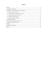 Karjeros planavimas organizacijoje