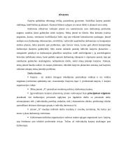 Karjeros planavimas organizacijoje 16 puslapis