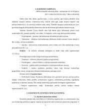 Karjeros planavimas organizacijoje 3 puslapis