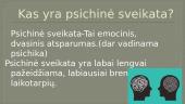 Kas yra psichinė sveikata? 2 puslapis