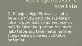 Kas yra psichinė sveikata? 4 puslapis
