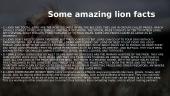 Everything to know about lions 8 puslapis