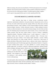 Kelionės organizavimas: Ventos regioninis parkas 5 puslapis